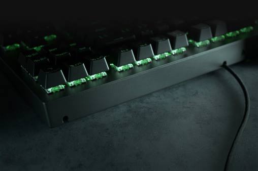 Razer blackwidow v3 tenkeyless - interruptor amarillo - nosotros HP4J62 teclado negro